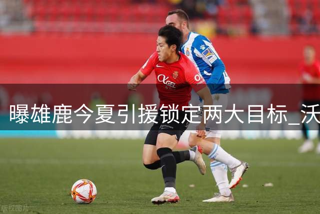 曝雄鹿今夏引援锁定两大目标 沃特森优先考虑