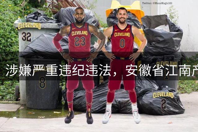 涉嫌严重违纪违法，安徽省江南产业集中区建设投资发展(集团)有限公司党委委员、副总经理王立兴被查